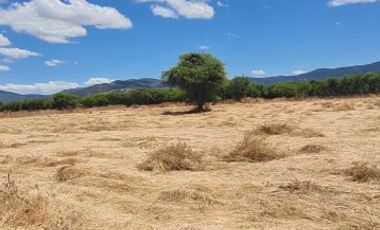 PARCELA EN SAN VICENTE