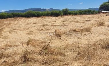 PARCELA EN SAN VICENTE