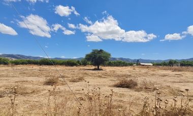 PARCELA EN SAN VICENTE