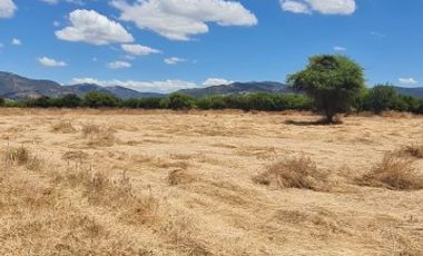 PARCELA EN SAN VICENTE