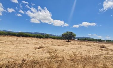 PARCELA EN SAN VICENTE
