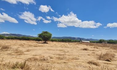 PARCELA EN SAN VICENTE