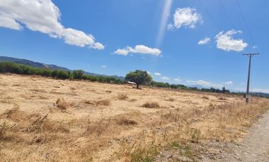 PARCELA EN SAN VICENTE