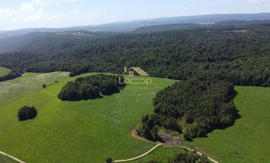 Fundo estratégico para inversión