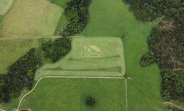 Fundo estratégico para inversión