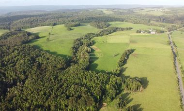 Fundo estratégico para inversión