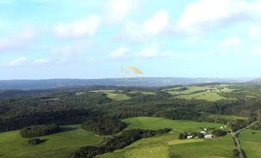 Fundo estratégico para inversión