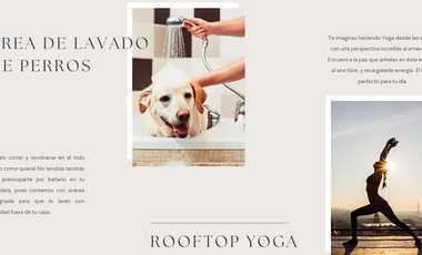 MARSALA NUEVO SAN ANGEL