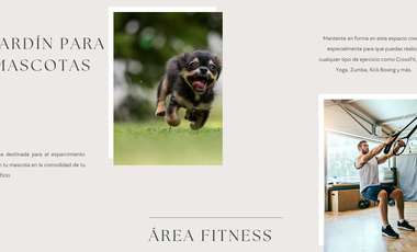 MARSALA NUEVO SAN ANGEL