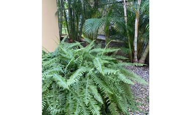 CASA CAMPESTRE EN VENTA VIA VILLAVICENCIO RESTREPO HDA LA PRADERA