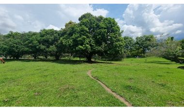 Espectacular lote en san jerónimo Plano
