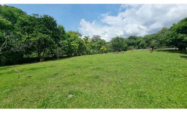 Espectacular lote en san jerónimo Plano