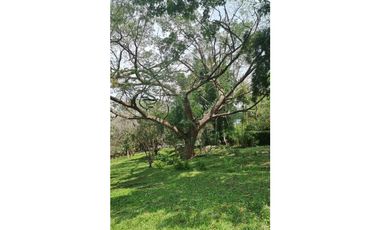 Espectacular lote en san jerónimo Plano