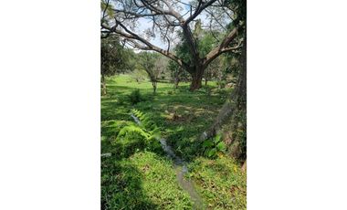Espectacular lote en san jerónimo Plano