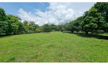 Espectacular lote en san jerónimo Plano