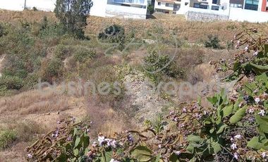 Terreno Comercial en Venta Lomas Verdes 6a. Sección