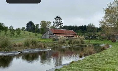 Parcela en venta  en PUERTO VARAS