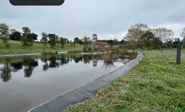 Parcela en venta  en PUERTO VARAS