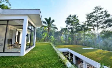 6 Bedroom Villa for sale in Tegallalang, Bali