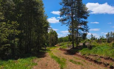 Parcela en Venta en 30 Minutos de Cañitas y 7 Minutos de los Muermos.