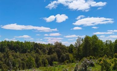 Parcela en Venta en 30 Minutos de Cañitas y 7 Minutos de los Muermos.