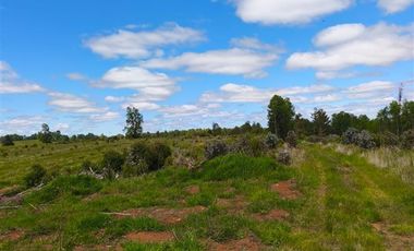 Parcela en Venta en 30 Minutos de Cañitas y 7 Minutos de los Muermos.