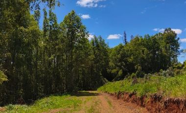 Parcela en Venta en 30 Minutos de Cañitas y 7 Minutos de los Muermos.