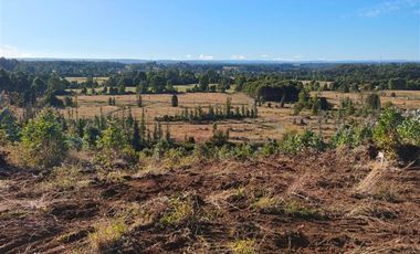 Parcela en Venta en 30 Minutos de Cañitas y 7 Minutos de los Muermos.