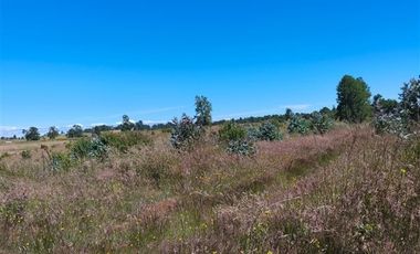 Parcela en Venta en 30 Minutos de Cañitas y 7 Minutos de los Muermos.