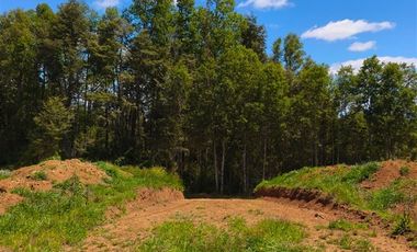 Parcela en Venta en 30 Minutos de Cañitas y 7 Minutos de los Muermos.