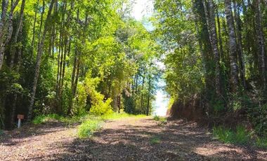 Parcela en Venta en 30 Minutos de Cañitas y 7 Minutos de los Muermos.