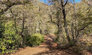 Sitio en Venta en Los Peumos con Los Radales Las Trancas, Chillán