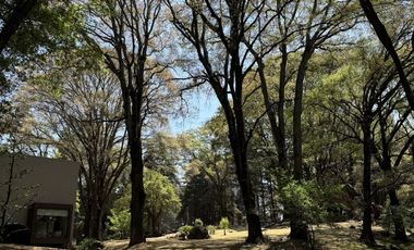 Vendo rancho terreno 7265m San Nicolás Tlazala Toluca Ocoyoacac EDOMEX