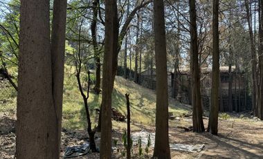 Vendo rancho terreno 7265m San Nicolás Tlazala Toluca Ocoyoacac EDOMEX