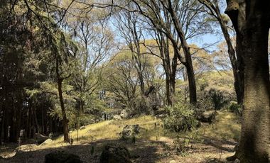 Vendo rancho terreno 7265m San Nicolás Tlazala Toluca Ocoyoacac EDOMEX