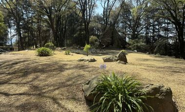 Vendo rancho terreno 7265m San Nicolás Tlazala Toluca Ocoyoacac EDOMEX