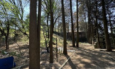 Vendo rancho terreno 7265m San Nicolás Tlazala Toluca Ocoyoacac EDOMEX