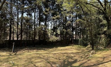 Vendo rancho terreno 7265m San Nicolás Tlazala Toluca Ocoyoacac EDOMEX