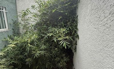 Casa en Venta, Paseos de Churubusco, 5 Recamaras