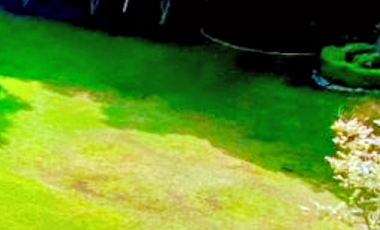 Departamento en venta al sur de la CDMX