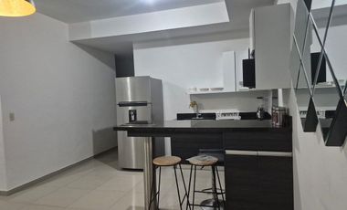 Departamento Amueblado Renta Centrika