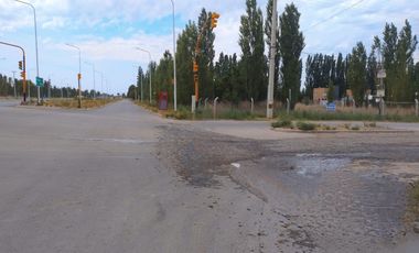 Alquila lote comercial ruta 22 Plottier