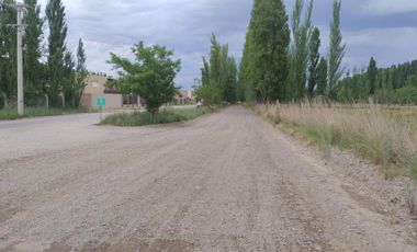 Alquila lote comercial ruta 22 Plottier