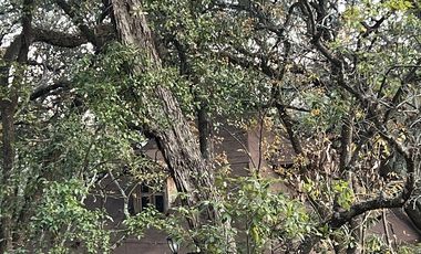 QUINTA EN VENTA SANTIAGO NL