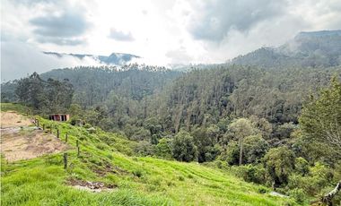 Venta Lote Comercial via la vega