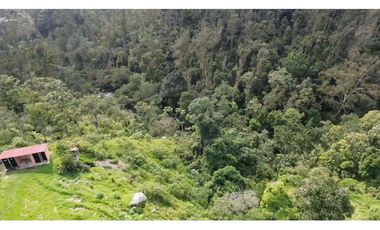 Venta Lote Comercial via la vega