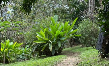 VENTA FINCA, TITIRIB SUROESTE ANTIOQUEÑO