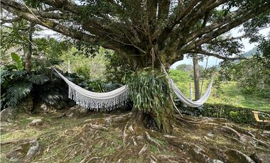 VENTA FINCA, TITIRIB SUROESTE ANTIOQUEÑO