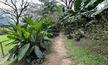 VENTA FINCA, TITIRIB SUROESTE ANTIOQUEÑO