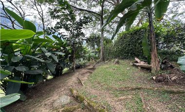 VENTA FINCA, TITIRIB SUROESTE ANTIOQUEÑO